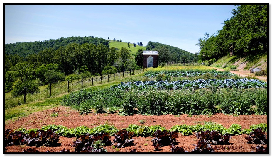 Monticello 1-sq